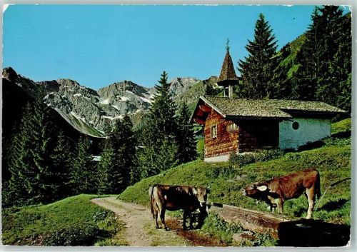 Ischgl Alpe Boden Kühe
