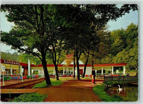 Bad Iburg Cafe Schloßmühle Teich Schwan und Enten