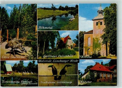 Walsrode Vogelpark Gasthaus Luisenhöh Emus Bunttukane Kronenkraniche Kloster