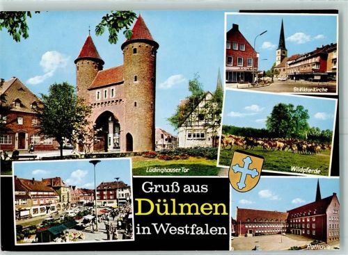 Dülmen Lüdinghauser Tor Rathaus Markt Marktszene Wildpferde
