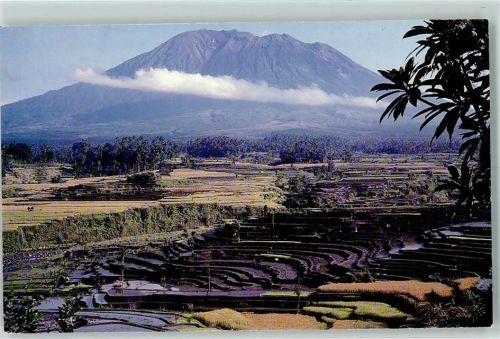 1982 Paddy Terrace - K-'Sujana