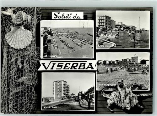 Viserba Muscheln
