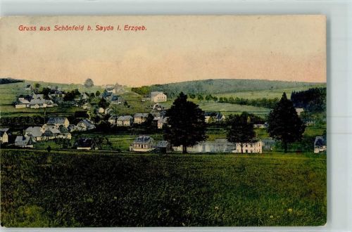 Sayda Schönfeld