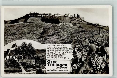 Tüllingen Weinberge Weintrauben Weinreben