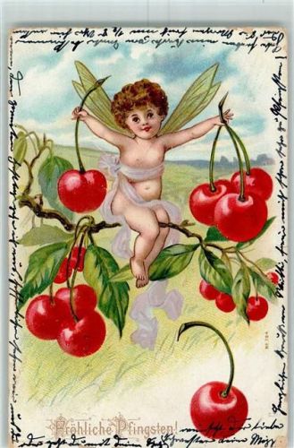 1903 Lithographie Elfe Kirschen AK