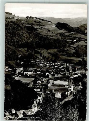 Zell