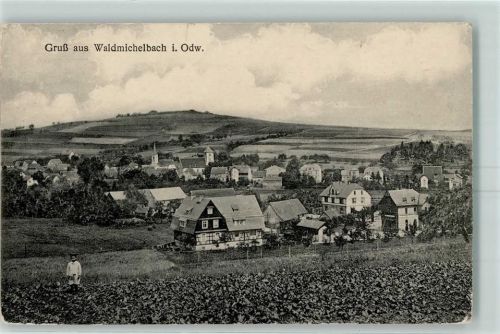 Wald-Michelbach Fachwerkhaus