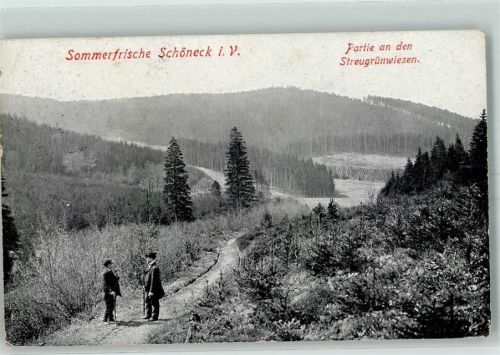 Schöneck Streugrünwiesen Spaziergänger