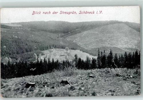 Schöneck Die Streugrün
