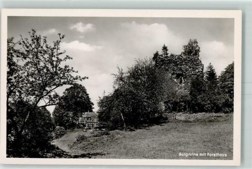 Lübbecke Burgruine Forsthaus Limberg Fachwerkhaus