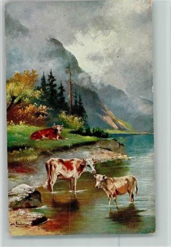 Kühe an der Tränke im See - Verlag Rehn Nr. 364 AK