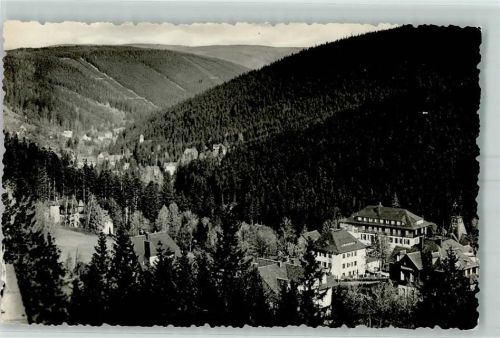 Bärenfels