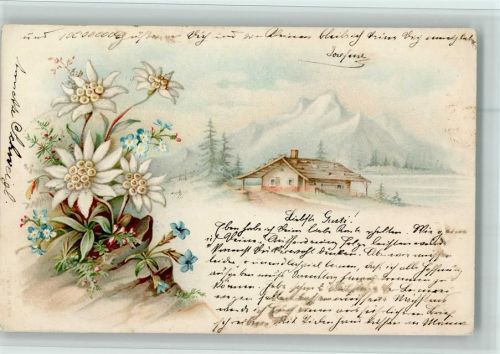 1902 Alpenflora - Edelweiss AK