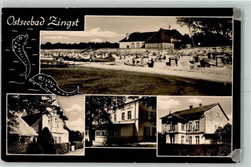 Zingst
