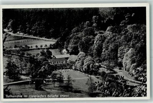 Ballenstedt Gasthaus Selkemühle