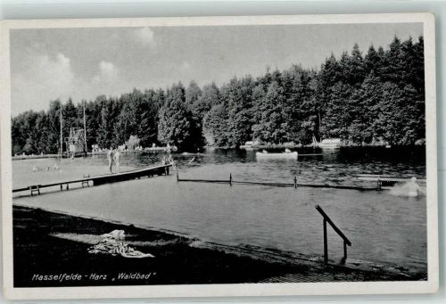 Hasselfelde Schwimmbad Sprungturm