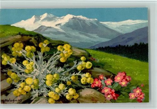 Verlag Vouga & Cie Serie 328-4 - sign Wagner - Alpenblumen , gute Erhaltung