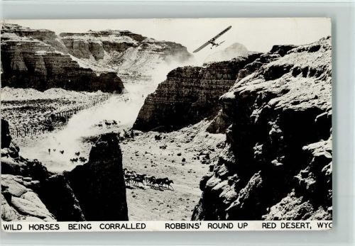 1948 Wild Horses Being Corralled - Robbins Round Up