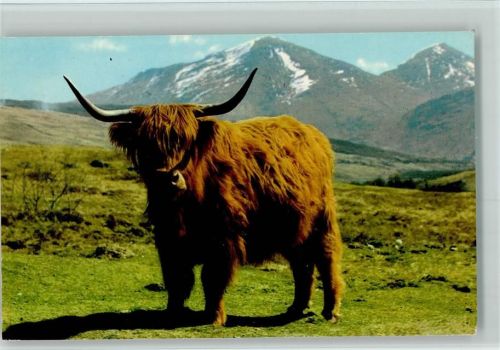 a Monarch of the Glen AK