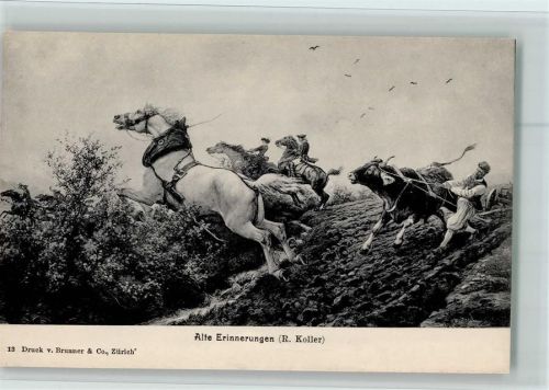 Nr. 13 Verlag Brunner & Co , Bauer - Ochsengespann, Pferde - , gute Erhaltung