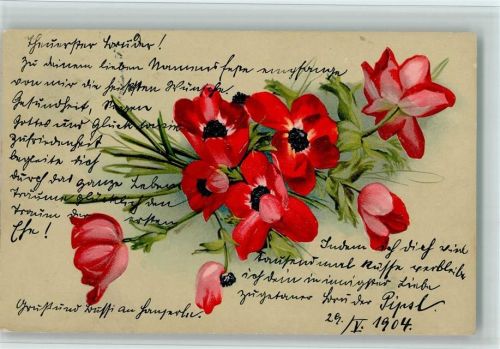 1904 Verlag Erika 1859 Anemonen, Mohnblumen 1904 AK