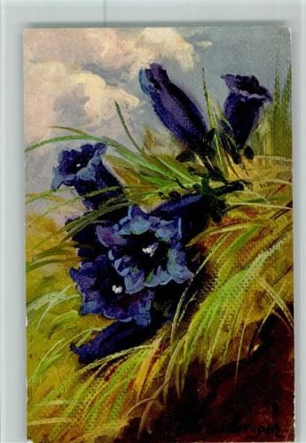 1933 Alpenblumen - Enzian AK