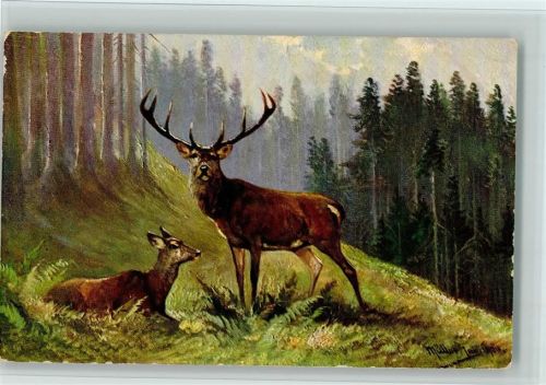 Hirsch u. Reh - Jagdtiere - gute Erhaltung