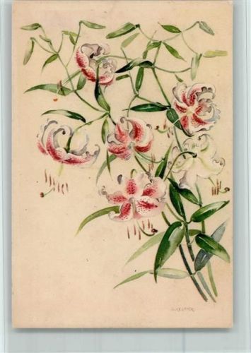 sign A. Kermer, Orchideen AK
