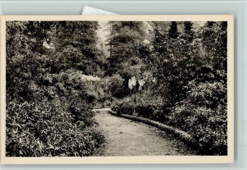Nr. 41 Royal Botanic Gardens - Bamboo Garden AK