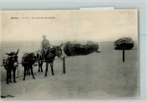 1921 Nr. 69 - Les anes de promenade - Esel Vermietung AK