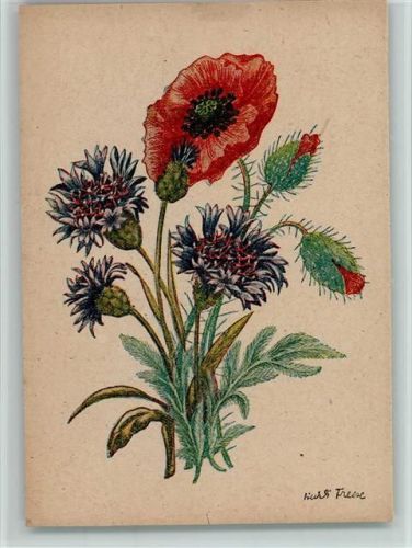 Diesteln, Mohnblume AK