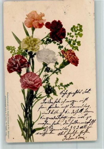 1901 Farbenlichtdruck Nr. 619 - Nelken, Blumen AK