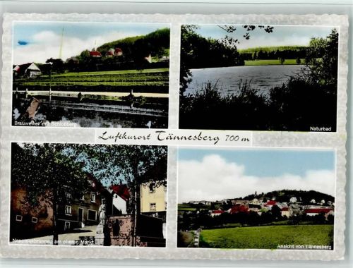 Tännesberg Brauweiher mit Schloßberg Naturbad Nepomukbrunnen am oberne Markt Ansicht von Tännesberg