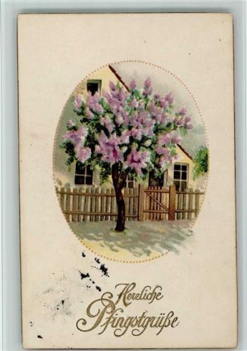 1917 Pfingsten - blühender Baum - Stempelfleck