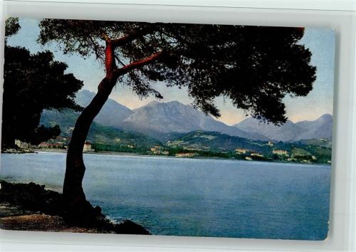 Serie 137 Nr. 2619, Riviera di Ponente ,gute Erhaltung AK