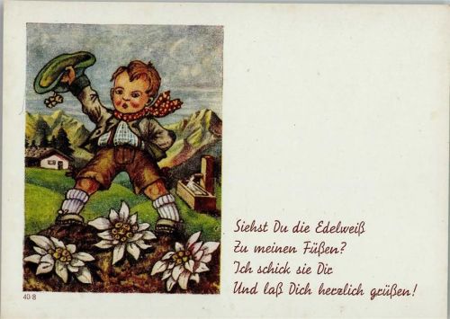 Verlag L.B..R. Serie 40-8 Junge mit Edelweiß läßt grüßen -