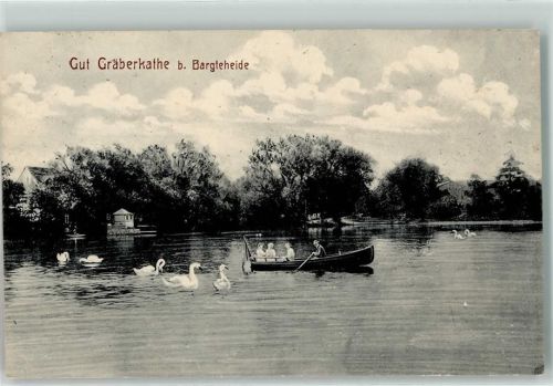 Bargteheide Gut Gräberkathe,Schwäne