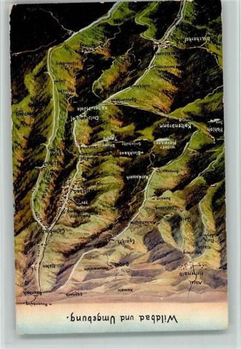 Bad Wildbad 1913 Umgebung AK