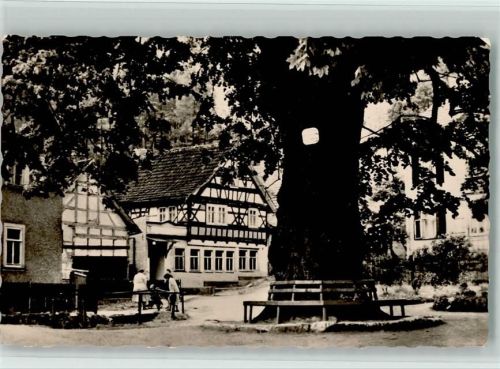 Thal Die alte Linde