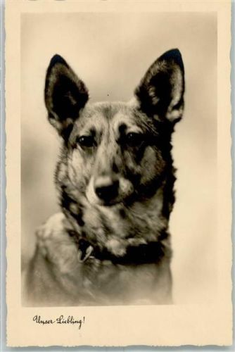 1931 Unser Liebling AK