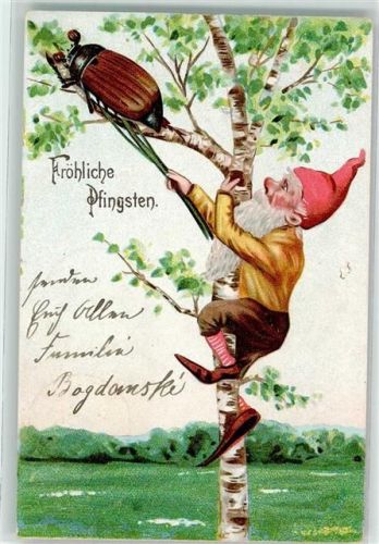 1904 Zwerge Maikäfer