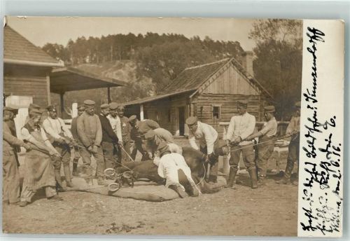 1916 Pferd wird geschlachtet