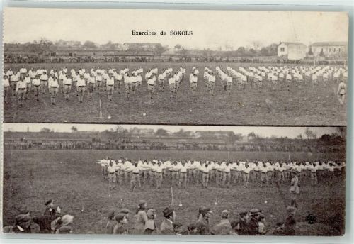 Cognac Exercices de Sokols