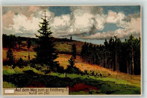 Feldberg 1907 Auf dem Weg zum gr. Feldberg Gemälde