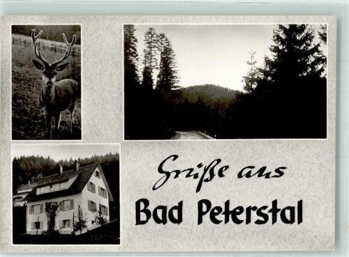 Bad Peterstal Pension Spinner