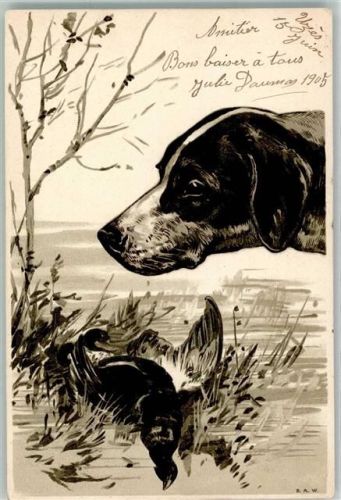 1905 Hund mit erlegtem Auerhahn