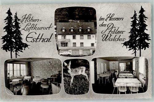 Esthal Gasthaus Pension Michelsberg Reh