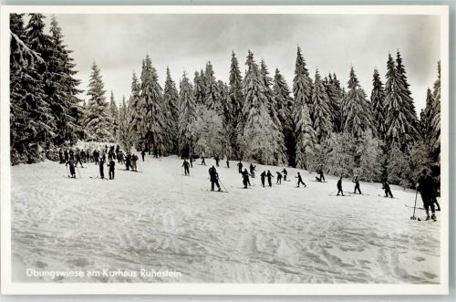 Ruhestein Winter