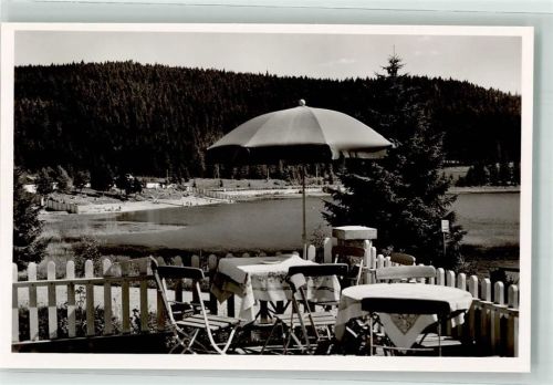 Altglashütten Gasthaus Pension Windgefällweiher Schwimmbad