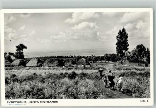 Nairobi 1958 Pyrethrum Luftpost